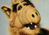 ALF