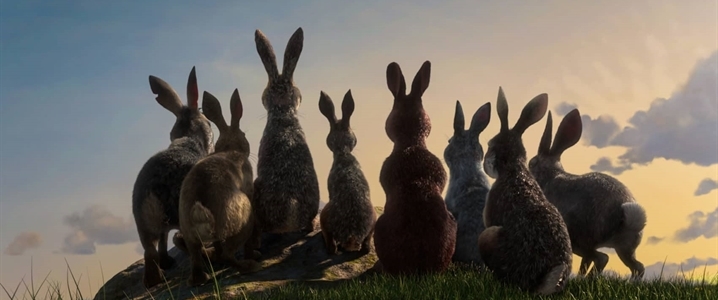 Watership Down