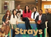 Strays