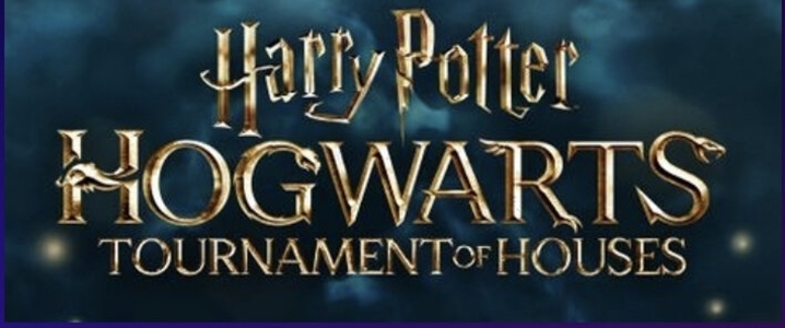 Harry Potter: Hogwarts Tournament of Houses