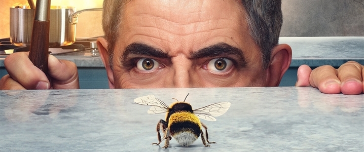 Man vs. Bee