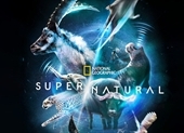 Super/Natural