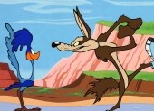 The Road Runner Show