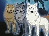 Wolf's Rain