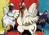 Rooster Fighter 